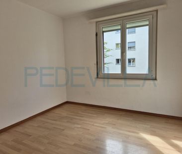 3 Zimmer, EG - Photo 6