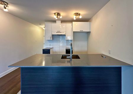 Condo moderne lumineux et magnifique – 2 chambres, 2 salles de bain ! - Photo 4