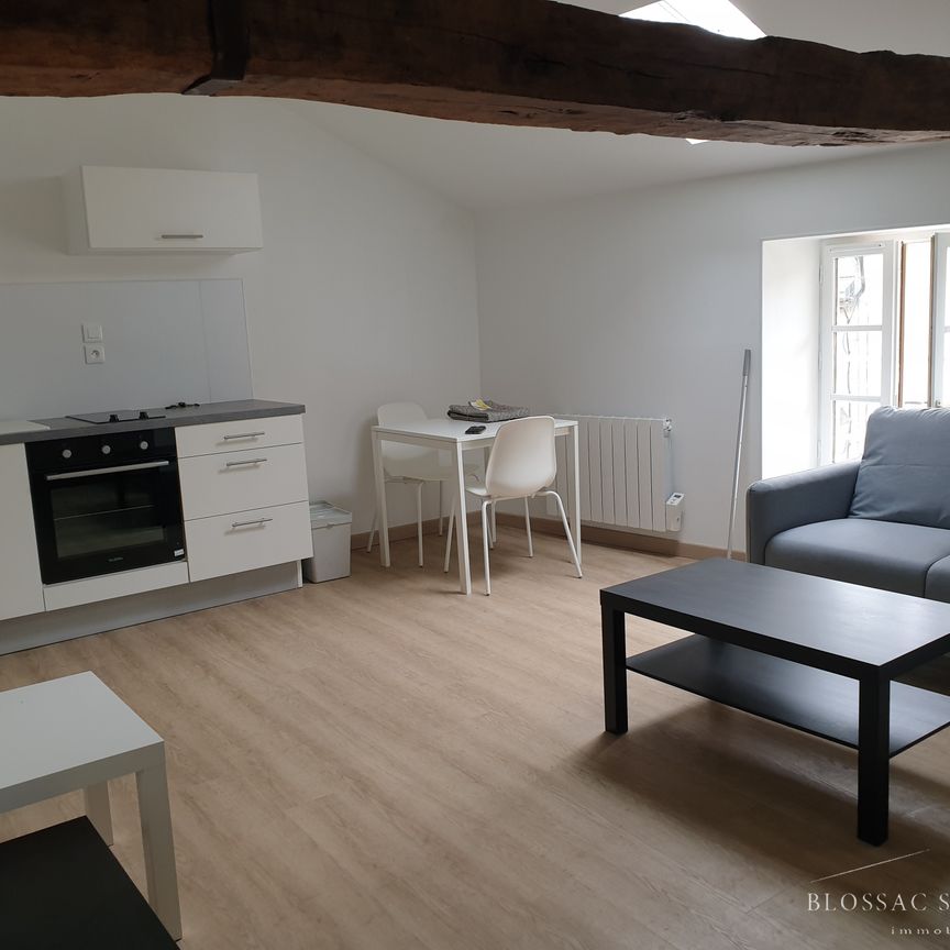 POITIERS QUARTIER MONTIERNEUF: T2 de 32m² meublé - Photo 1