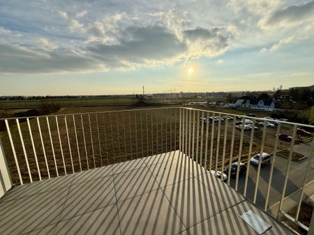 1 Monat Mietzinsfrei: Erstbezug im Grünen Nahe der U2 - zwischen Badeteich Hirschstetten & Seestadt - Photo 5