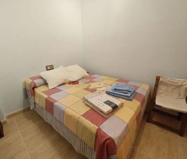 Elche / Elx - Photo 4