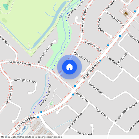 1198 Blueheron Boulevard Unit# Basment, Mississauga