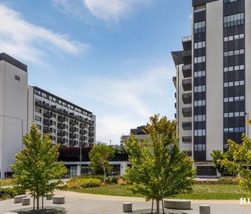 409/35 Furzer Street, Phillip ACT 2606 - Apartment For Rent | Domain - Photo 5