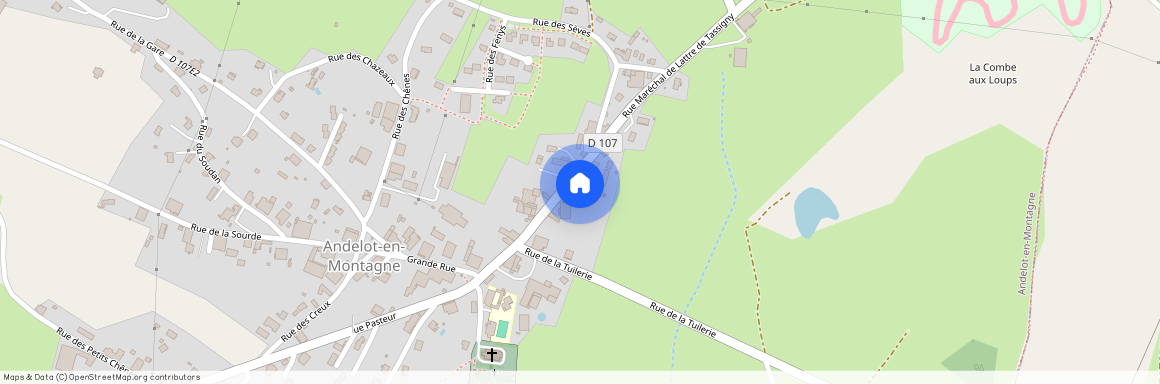 39110, Andelot-En-Montagne