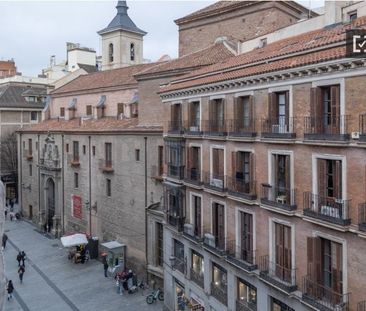madrid, Community of Madrid 28013 - Photo 4