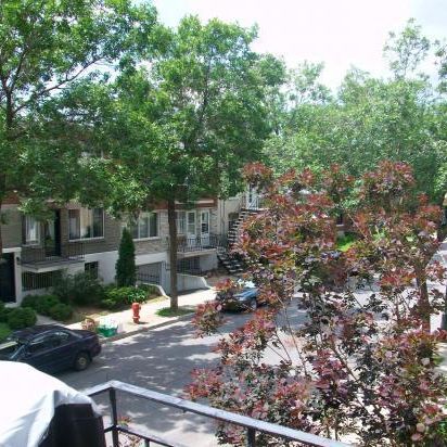 Charmant 3 ½ au 2e étage – Rosemont | Métro Joliette | Animaux acceptés 🐾 - Photo 3