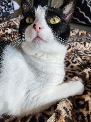 Mount Gravatt East - Photo 3