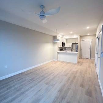 $1,575 / 1br - 549ft2 - New, Cat-Friendly 1 Bedroom Apartment - Photo 1