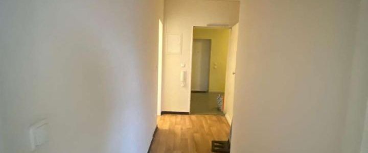 Ab Sofort! *Große und Schöne 1-Zimmerwohnung mit großem Balkon zu vermieten!* - Foto 1