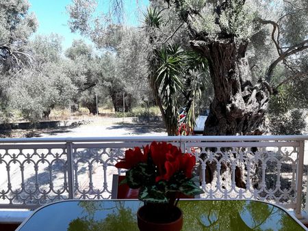 Διαμέρισμα για ενοικίαση Σκάλα Μιστεγνών (Λέσβος - Λουτρόπολη Θερμής) - Φωτογραφία 4