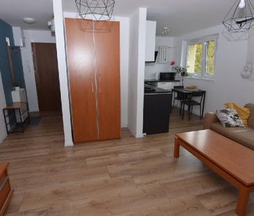 Mieszkanie Zabrze Rokitnica powierzchnia 40.14 m² C234-WM-81760 - Photo 4