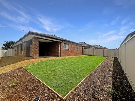 21 Webb Road, Bonshaw - Photo 2