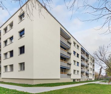 3.5 Zimmer, 90 m², 1. Stock - Photo 5