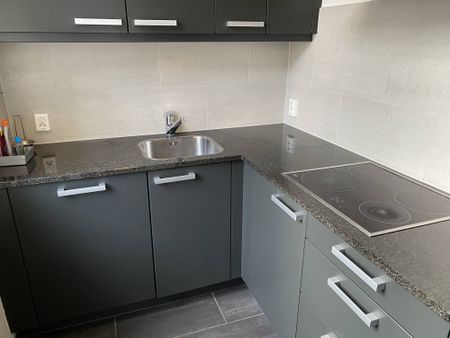 Te huur: Appartement Hoogbrugstraat in Maastricht - Foto 3