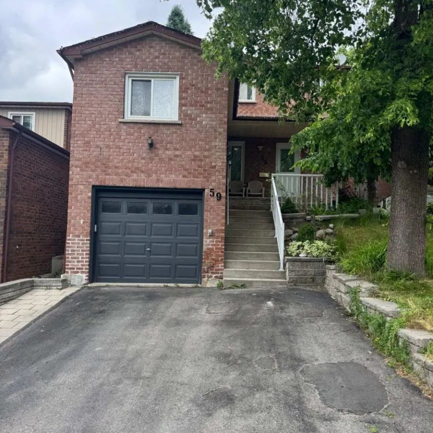 59 PALMER DRIVE - Photo 1