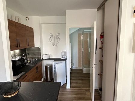Location Appartement 1 pièce 19m² SAUMUR 49400 - Photo 4