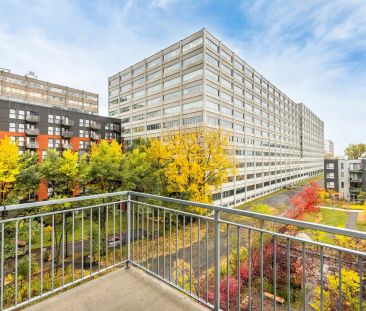 245 Rue Maguire, app.502, Le Plateau-Mont-Royal (Montréal) - Photo 1