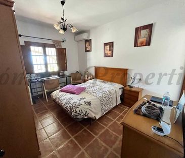 Country Property in Árchez, Inland Andalucia at the foot of the mou... - Photo 6