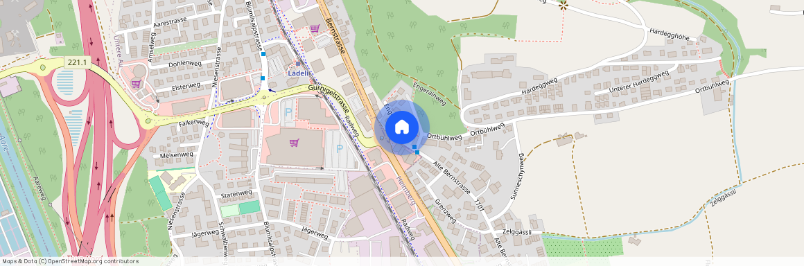 3613, Steffisburg, Alte Bernstrasse, 200