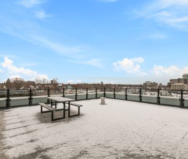 For Lease - 377 Winona Avenue Unit# 509, Westboro - Hampton Park, O... - Photo 3