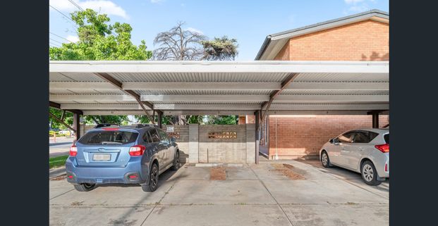 Sunlit filled private haven - Photo 1