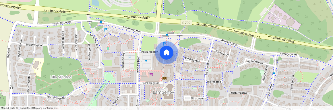 Lambohov, Tröskaregatan 49.13