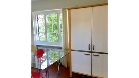 1 Zimmer-Wohnung in Liestal (BL), möbliert - Foto 4