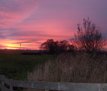 Overleek 25A-Het Schapenhok - Photo 6