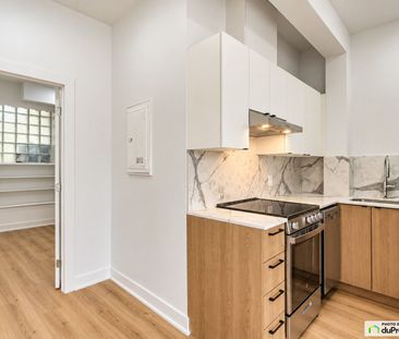 1559, Des Pins Ouest, Ville-Marie (Centre-Ville et Vieux-Montréal) à louer - Photo 2
