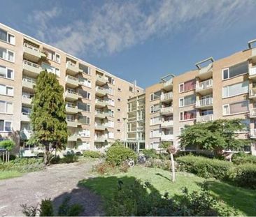 Elisabeth Brugsmaweg 2555 SC 's-Gravenhage - Photo 6