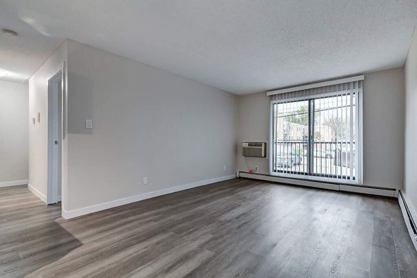 Premier Suite - 1 Bedroom - Photo 1