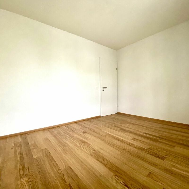 3.5 Zimmerwohnung im Kannenfeldquartier - Photo 1