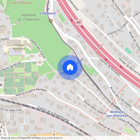 Coteau de Belmont 32, 1820 Montreux, Suisse