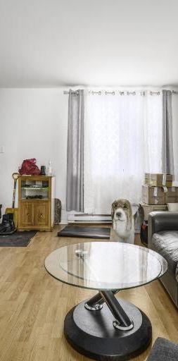 Appartement 4 ½ à louer Lévis juillet 2026 - Photo 1