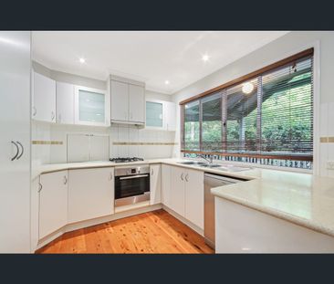 10 Rhapis Court, Buderim, Qld 4556 - Photo 3