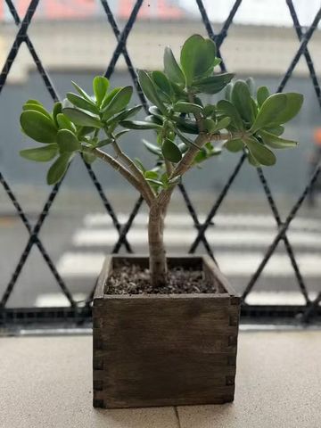 Carrer de Sant Carles, Barcelona, Catalonia 08003 - Photo 4