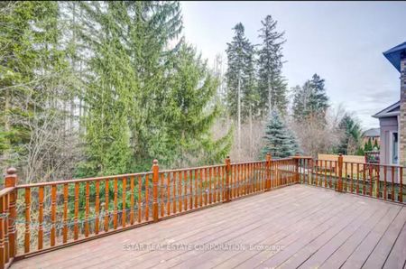 For Lease - 45 Abilene Court, Richmond Hill, Ontario - Photo 4