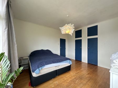 Two Bedroom House - Wadestown - Photo 3