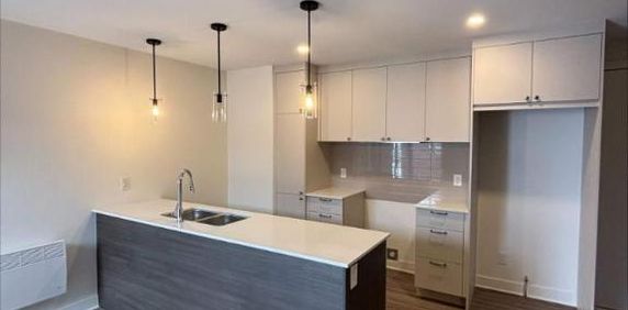 3 CH - 1 SDB - Saint-Hyacinthe - $1,700 /mo - Photo 2