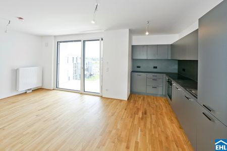 DER BALLON - Ankommen und abheben - NATURNAHES WOHNEN NAHE DER SEESTADT ASPERN - Photo 3