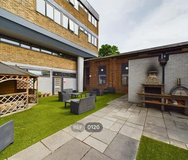 1 bedroom property to rent - Photo 3