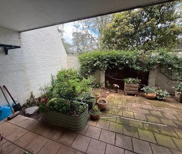 8/8 Giles St, Griffith ACT 2603 - Apartment For Rent | Domain - Photo 2