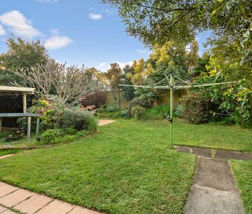11 Miowera Avenue, Carss Park NSW 2221 - House For Rent | Domain - Photo 6