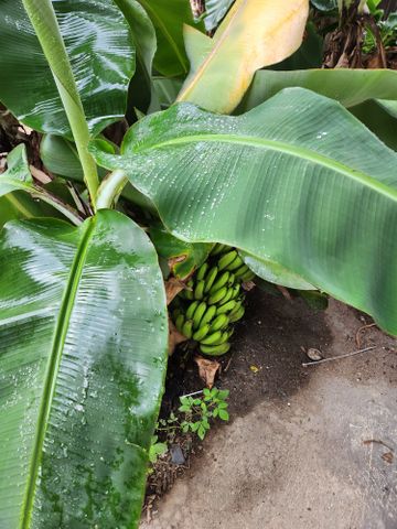 Trinity Beach - Photo 5