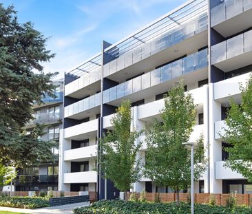 30/115 Canberra Avenue, Griffith ACT 2603 - Apartment For Rent | Do... - Photo 6