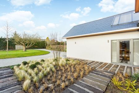 1 bedroom house to rent - Photo 5