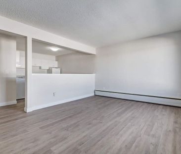 Renovated Suite - 1 Bedroom - Photo 1