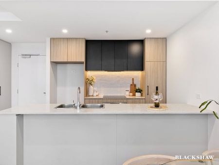 119/39 Mcintyre Street, Narrabundah ACT 2604 - Apartment For Rent | Domain - Photo 3
