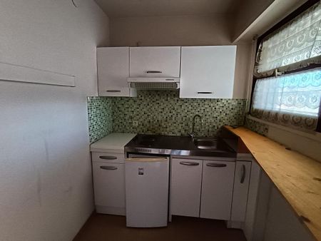 Location Appartement 1 pièce 37m² ST LAURENT DU VAR 06700 - Photo 2