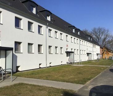 Spieringshorster Str. 11, 23564 Lübeck OT Sankt Gertrud - Photo 3